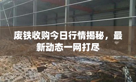 废铁收购今日行情揭秘,最新动态一网打尽