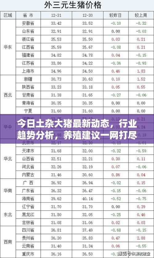 今日土杂大猪最新动态,行业趋势分析,养殖建议一网打尽