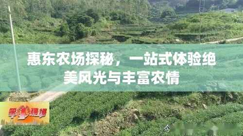惠东农场探秘,一站式体验绝美风光与丰富农情