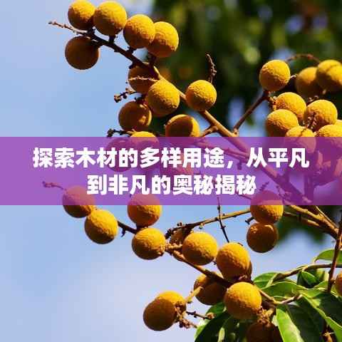 探索木材的多样用途,从平凡到非凡的奥秘揭秘