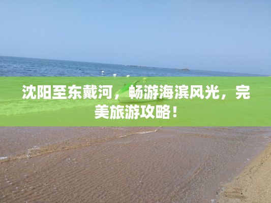 沈阳至东戴河,畅游海滨风光,完美旅游攻略!