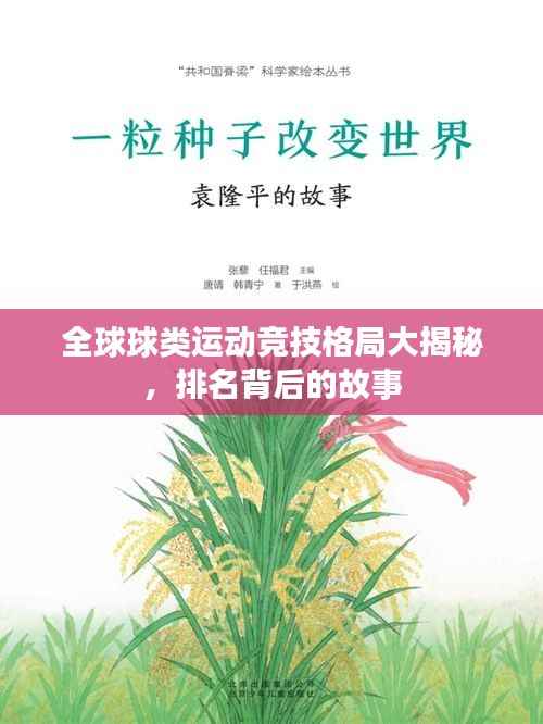 全球球类运动竞技格局大揭秘,排名背后的故事