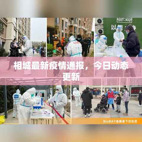 相城最新疫情通报,今日动态更新
