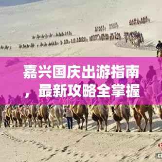 嘉兴国庆出游指南,最新攻略全掌握!