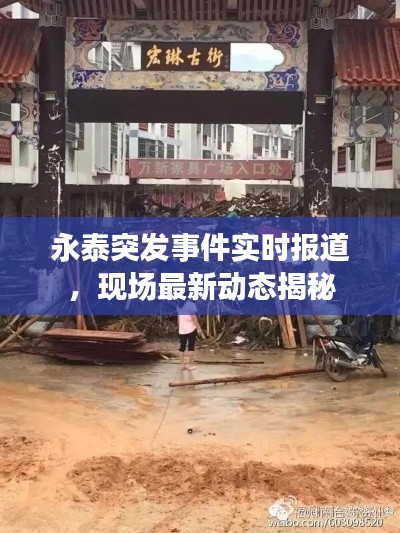 永泰突发事件实时报道,现场最新动态揭秘