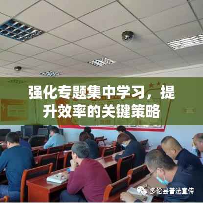 强化专题集中学习,提升效率的关键策略