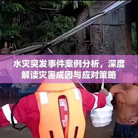 水灾突发事件案例分析,深度解读灾害成因与应对策略