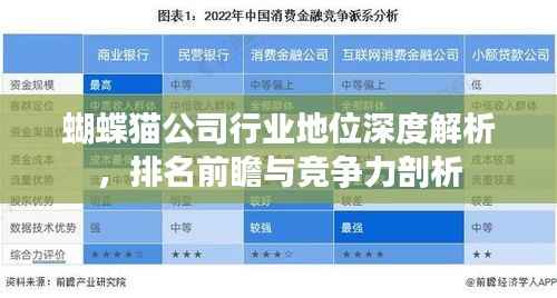 蝴蝶猫公司行业地位深度解析,排名前瞻与竞争力剖析