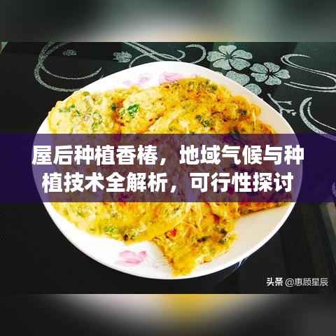 屋后种植香椿,地域气候与种植技术全解析,可行性探讨