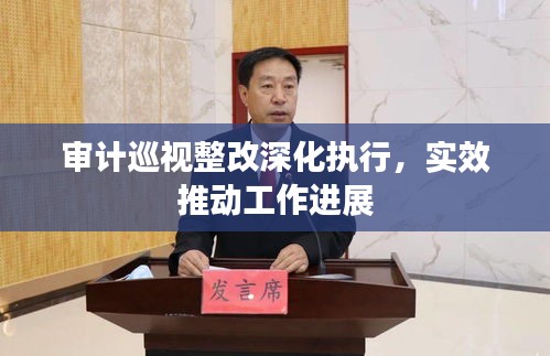 审计巡视整改深化执行,实效推动工作进展