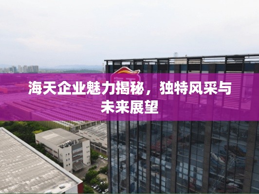 海天企业魅力揭秘,独特风采与未来展望