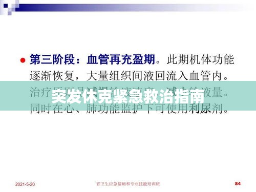 突发休克紧急救治指南