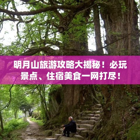 明月山旅游攻略大揭秘!必玩景点、住宿美食一网打尽!