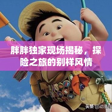 胖胖独家现场揭秘,探险之旅的别样风情