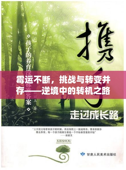 霉运不断,挑战与转变并存——逆境中的转机之路