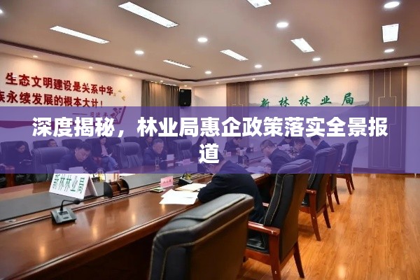 深度揭秘,林业局惠企政策落实全景报道