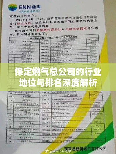 保定燃气总公司的行业地位与排名深度解析