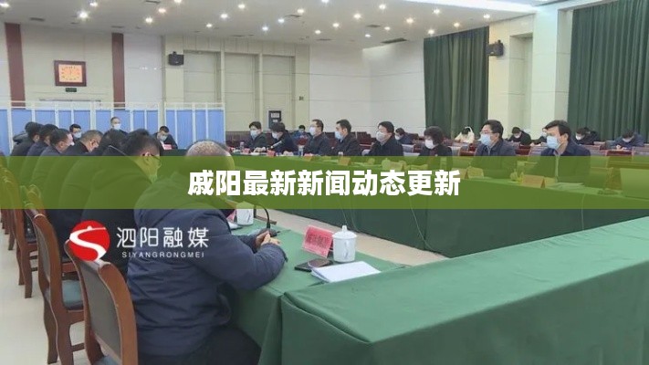 戚阳最新新闻动态更新