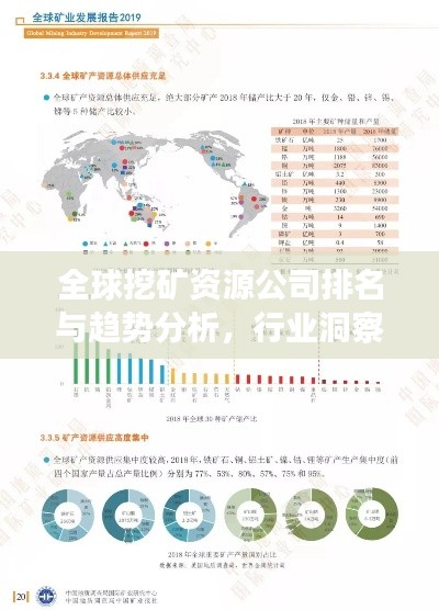 全球挖矿资源公司排名与趋势分析,行业洞察报告