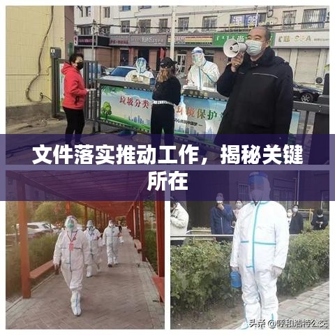 文件落实推动工作,揭秘关键所在