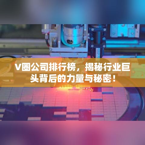 V圈公司排行榜,揭秘行业巨头背后的力量与秘密!