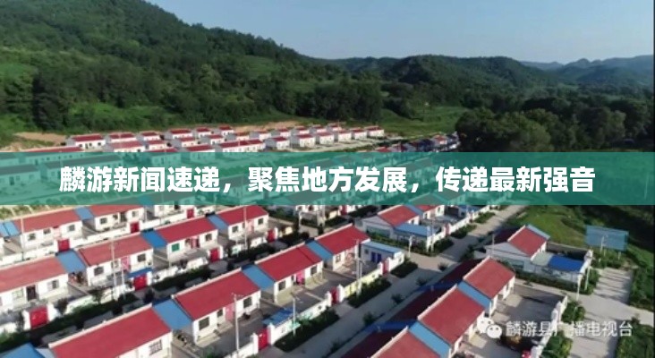 麟游新闻速递,聚焦地方发展,传递最新强音