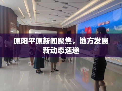 原阳平原新闻聚焦,地方发展新动态速递