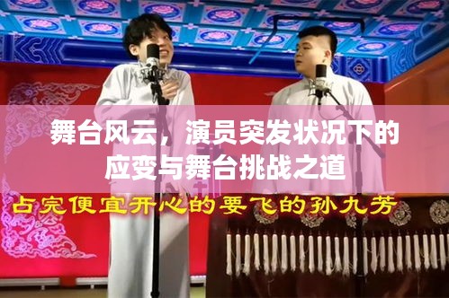舞台风云,演员突发状况下的应变与舞台挑战之道